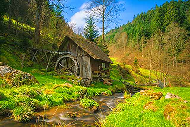 Forest Mill-Stream in a lush landscape