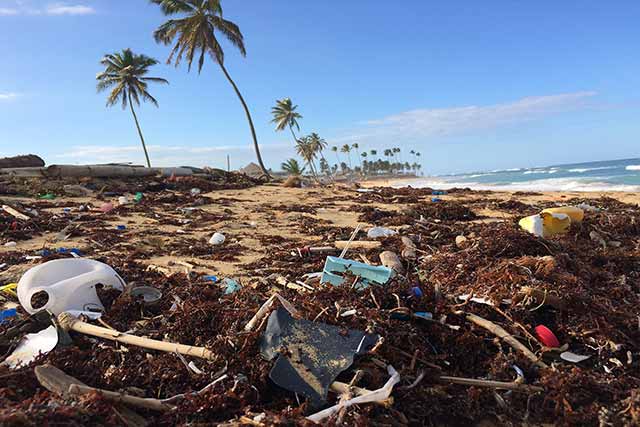 A heavily polluted Tropical-Beach with washed-up garbage strewn along the beach