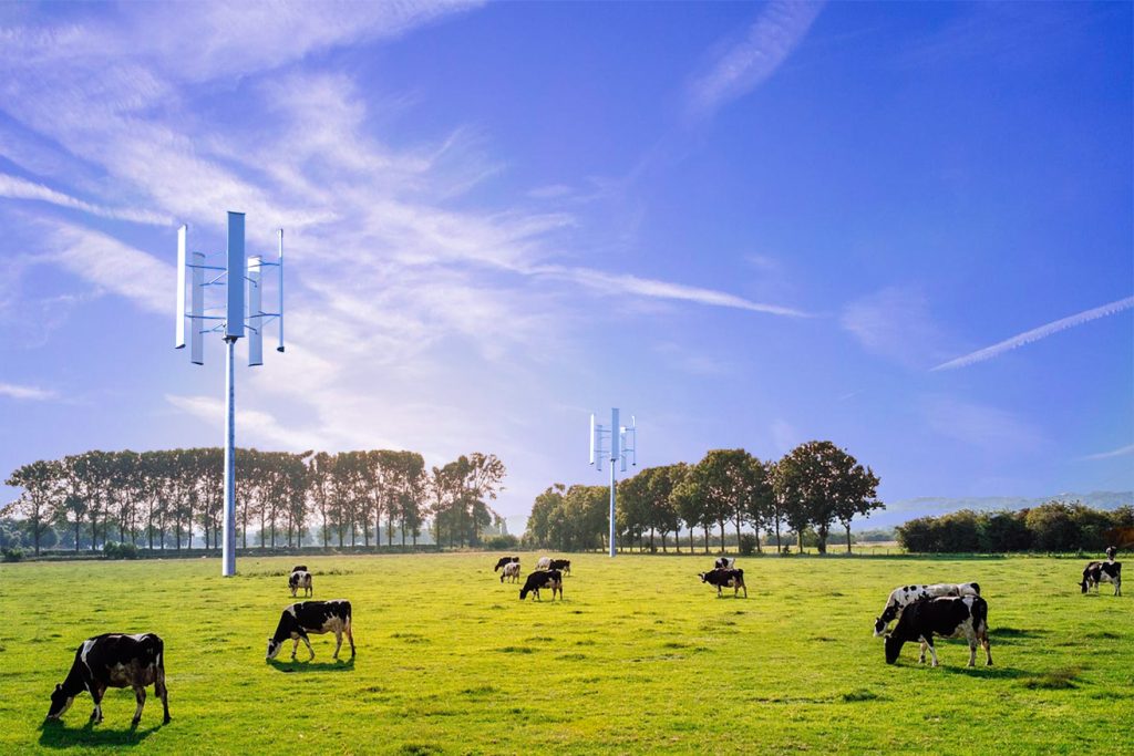 Vertical Axis Wind Turbines sited among grazing cattle are perfect as they have no perceptible noise level.
